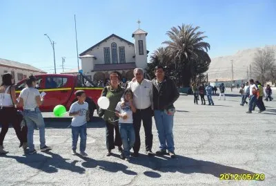 pampino