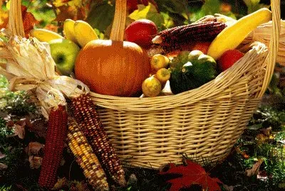 autumn basket