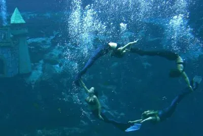 BALLET DE SIRENAS EN TAMPA, FL.