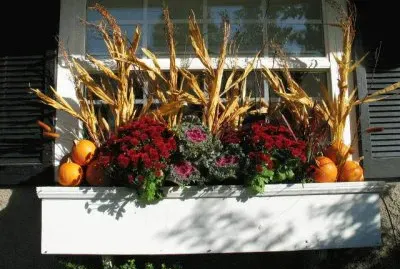 fall window box jigsaw puzzle