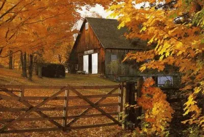 פאזל של autumn country side
