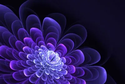 fractal flower
