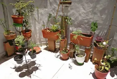פאזל של patio interior