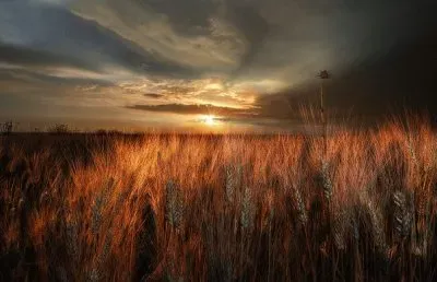 autumn sunset jigsaw puzzle