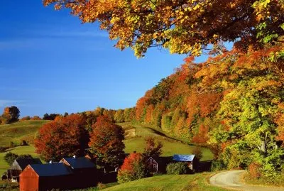 Woodstock
