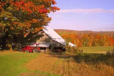 autumn jigsaw puzzle