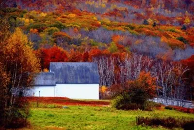 Maine farm