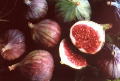 Figues