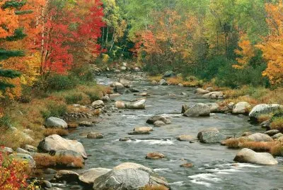פאזל של trout stream