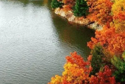 autumn at the lake