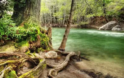 sol del desierto jigsaw puzzle