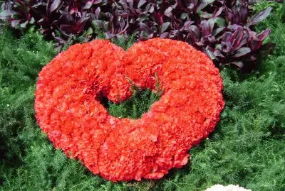 פאזל של corazÃ³n de claveles