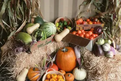 fall harvest jigsaw puzzle
