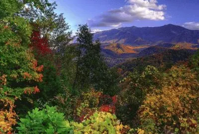 Smoky mountain vista jigsaw puzzle
