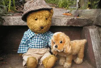 Teddy bear and his dog