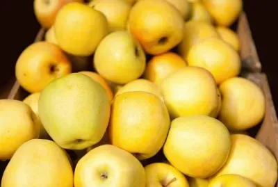 yellow delicious