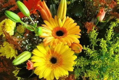 Flors jigsaw puzzle