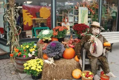 Fall shop display