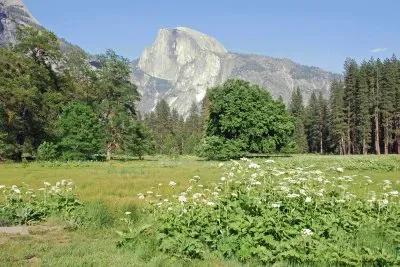 Yosemite NP 1