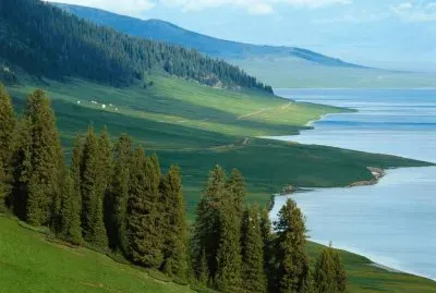 Campos jigsaw puzzle