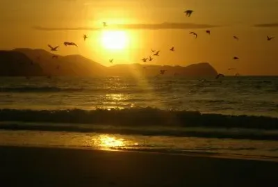 PÃ¡ssaros sobrevoando o mar!