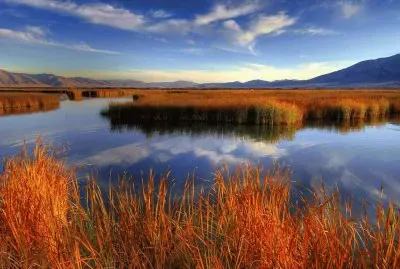 autumn marsh jigsaw puzzle