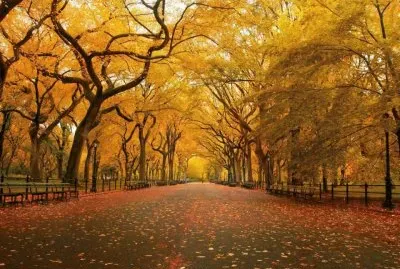 Southern road jigsaw puzzle