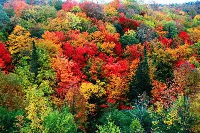 rainbow colors jigsaw puzzle