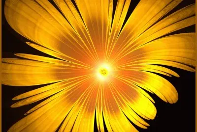 פאזל של yellow fractal flower