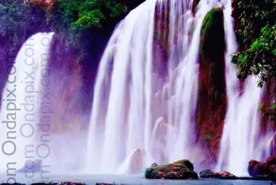 solo azlo jigsaw puzzle