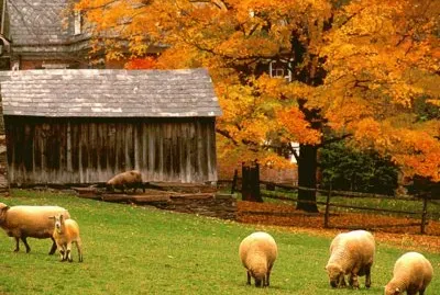 Pennsylvania farm