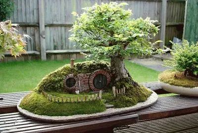 Bonsai 8.