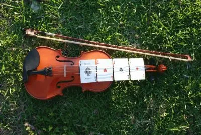 violin