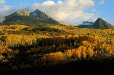 Aspen CO autumn