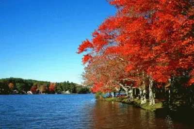 Sturbridge MA