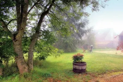 Misty Gardens