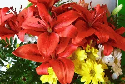 Flors