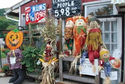 Scarecrows for sale