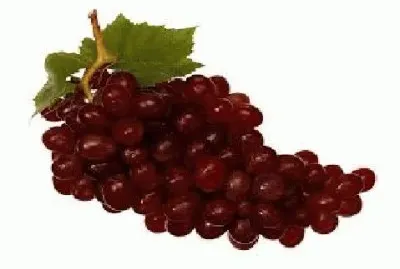 Uvas