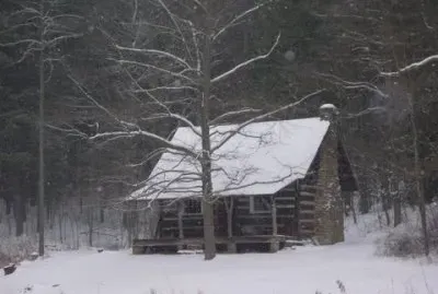 cabin the the woods