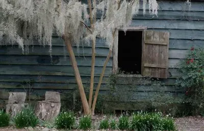 old blue cabin