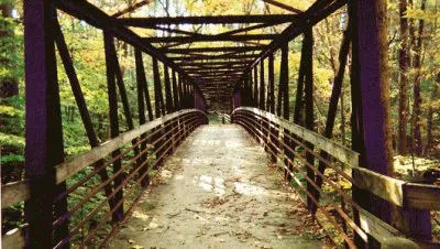 walk by the creek jigsaw puzzle
