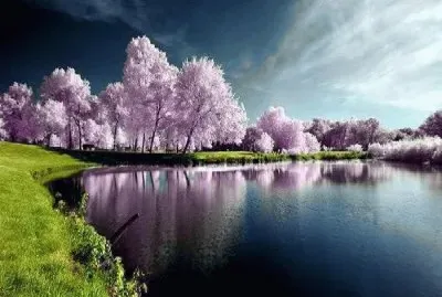 paisagem jigsaw puzzle