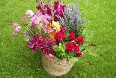Flors