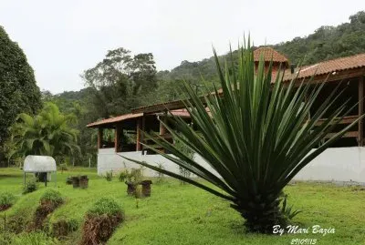 Natureza