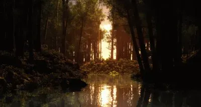 forest sunrise jigsaw puzzle