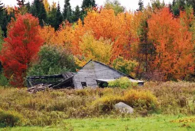 Autumn