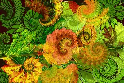 Leaves of autumn