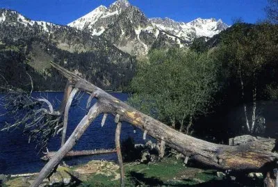 Paisatje jigsaw puzzle