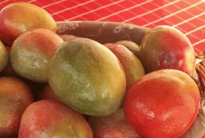 ×ž× ×’×•